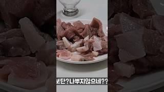 남자끼리 놀지마세요 이게 참치야??ㅋㅋㅋㅋㅋ#위스키#참치#여행