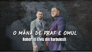 Robert si Elvis din Barbulesti - O mână de praf e omul