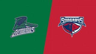 ECHL Live - Florida Everblades vs. South Carolina Stingrays on FloHockey