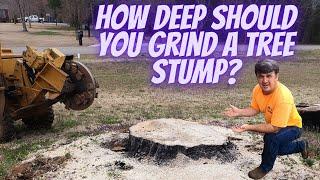 How Deep Should You Grind a Tree Stump?