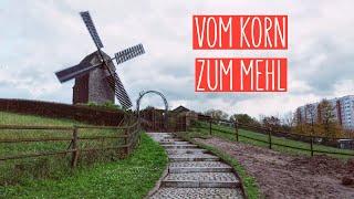 Vom Korn zum Mehl | Kaulsdorfer Mühle