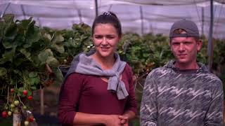 Heathlands Farm Recruitment Video - Polish Translation