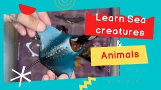 Learn Sea Creatures & Farm Animals for toddlers with The Darling Toy House