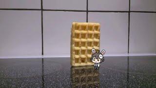 Waffle falling over wondernat