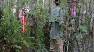 Clyde Butcher Swamp Walk