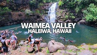 Exploring Waimea Valley & Falls in Haleiwa, HI USA Walking Tour #waimeavalley #waimeafalls #waimea