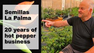 Semillas La Palma: 20 Years of Hot Pepper Seeds Production and Export