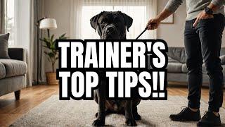 Expert Trainer Reveals LIFE CHANGING Cane Corso Secrets