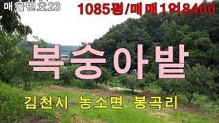 김천대한공인중개사/김천토지 땅 매매/김천시 농소면 봉곡리 복숭아밭/1085평/매매금액1억8400만원