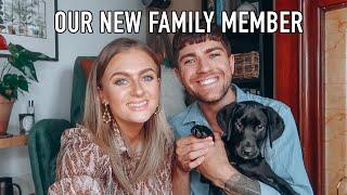 WE GOT A PUPPY! | MEET THE NEW ADDITION TO OUR FAMILY