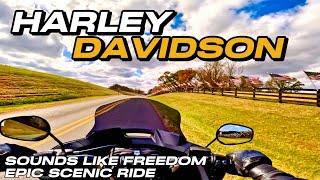 Patriotic Harley Davidson Low Rider ST Ride - Hundreds of Flags - ASMR POV 4K (PURE Engine Sound)