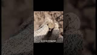 Первое серебро сезона / First silver of the season / Searching coins and treasures with XP Deus 2