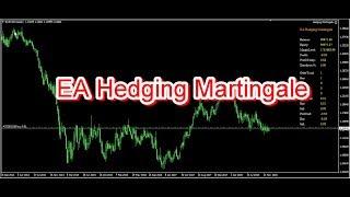 EA Forex | Hedging Martingale