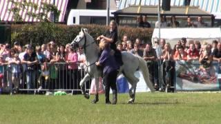 Amazing Equine Stunts and Tricks - Blazing Saddles