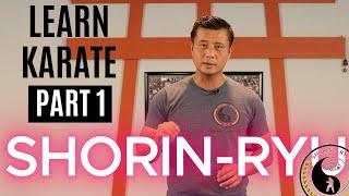 Martial Arts Tutorial | Shorin Ryu | PART 1 (basics)