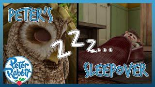 @OfficialPeterRabbit -  Peter Rabbit's SLEEPOVER  | SLEEPOVER DAY  | Cartoons for Kids