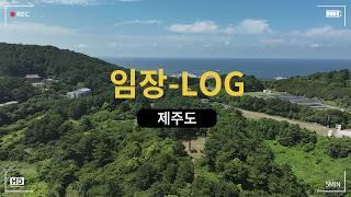 제주도 부동산이 투자 가치가 있을까? 제주도 아파트 가이드라인 A-Z