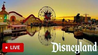 #LIVE Disneyland, Disney California Adventure, Parades, Characters, Rides, New Halloween Merch, Food