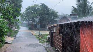 Heavy, refreshing rain in an Indonesian village||a cure and therapy for insomnia