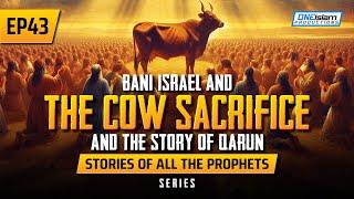 Bani Israel & The Cow Sacrifice & The Story of Qarun | EP 43 | Stories Of The Prophets Series