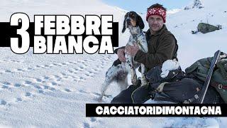 Febbre Bianca | Caccia alla Pernice Bianca con il Setter Inglese