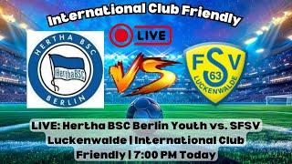 International Club Friendly: Hertha BSC Berlin Youth vs FSV Luckenwalde | Full Match Highlights 2024