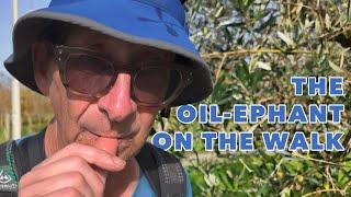 Walking to Rome on the Via Francigena 28: The Oil-ephant on the Walk