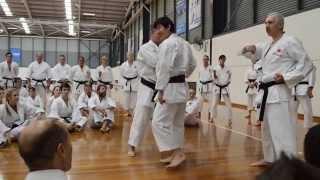 Naka Tatsuya Shihan - 1st Day of JKA National Seminar