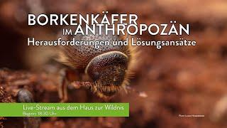 Borkenkäfer im Anthropozän - Herausforderungen und Lösungsansätze - Wissenschaftlicher Vortrag