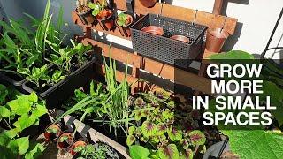 SMALL SPACE GARDENING | How to grow more in small spaces, DIY Makeover