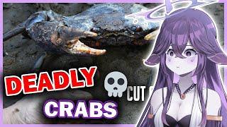 Are Mudcrabs 𝗗𝗘𝗔𝗗𝗟𝗬? | Mega Reacts