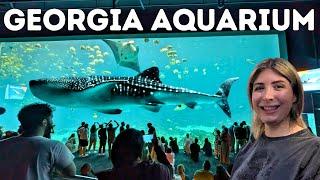 America's LARGEST AQUARIUM! TOUR & Behind the Scenes @georgiaaquarium