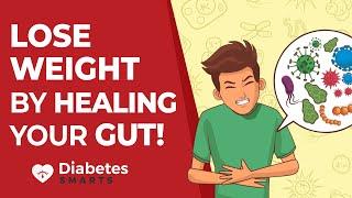 How To Lose Weight: Using Gut Health to Fight Diabetes