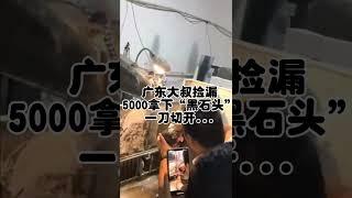 广东大叔捡漏5000拿下黑石头一刀切开#jade#jewelry#gem##jade #玉 #赌石 #原石 #缅甸翡翠 #珠寶#翡翠  #翡翠原石