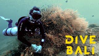 Sidemount, night and muck dives. Amed, Bali. Episode 456