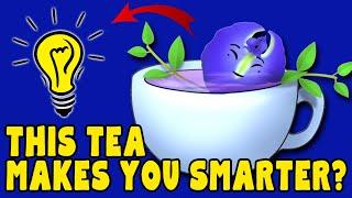 12 Amazing Benefits of BLUE BUTTERFLY PEA TEA / blue ternate / Aparajita Flower Tea / Blue Tea