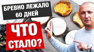 ЗИМНИЙ И ЛЕТНИЙ ЛЕС. КАК НАС ОБМАНЫВАЮТ?