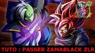 SE PREPARER AU BATTLE Z SUPREME DE ZAMABLACK ZAMASU / BLACK GOKU LR ZLR  DRAGON BALL Z DOKKAN BATTLE