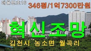 (거래완료)김천대한공인중개사/김천토지 땅 전문/김천시 농소면 월곡리 토지매매/346평/매매1억7300만원