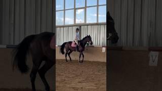 Тг:Dasha forever|коноблог #horse #equestriansports #equestrian #лошади #конныйспорт #конкур #реки