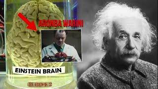 Albert Einstein gi Brain ga eikhoiga khetnaribaC Karino ?? Internet Maiba 2.0