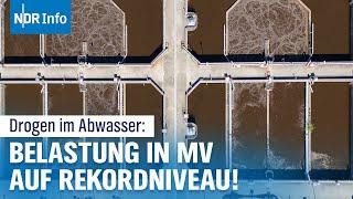 Speed, Kokain und andere Drogen im Abwasser: Konsum in MV erreicht Berliner-Niveau | NDR Info