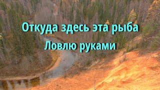 Один на реке.Рыбалка на хариуса ,поиск. Таежная речка.Ночевка в лесу. Рыбалка 2021.