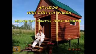 ПОРОДА ПЧЕЛ КАРНИКА В АПИДОМЕ. Часть 1 (Karnika in a Bee hut.)