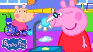 What Can You See?  | Peppa Pig Full Episodes