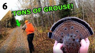 I LIMITED OUT In 30 Minutes While GROUSE HUNTING In Northern Ontario!!!