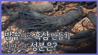 집에서 밥솥으로 흑삼만들기? 과연 그 성분은 어떨까? 사비를 들여 진세노사이드 사포닌 조사를 해봤습니다.