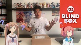 I Opened an Anime Mystery Box...