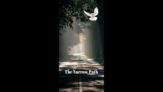 The Narrow Path Application