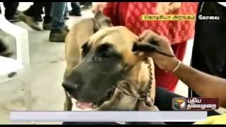 National level dog show in Coimbatore
